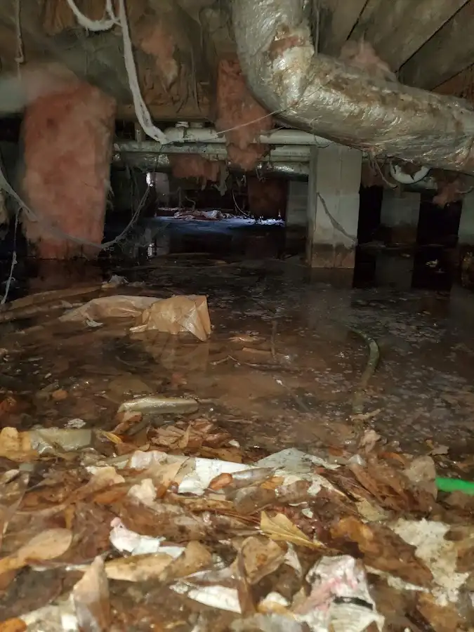 Crawl space flood assessment for Commercial Water Damage Restoration in Cairo