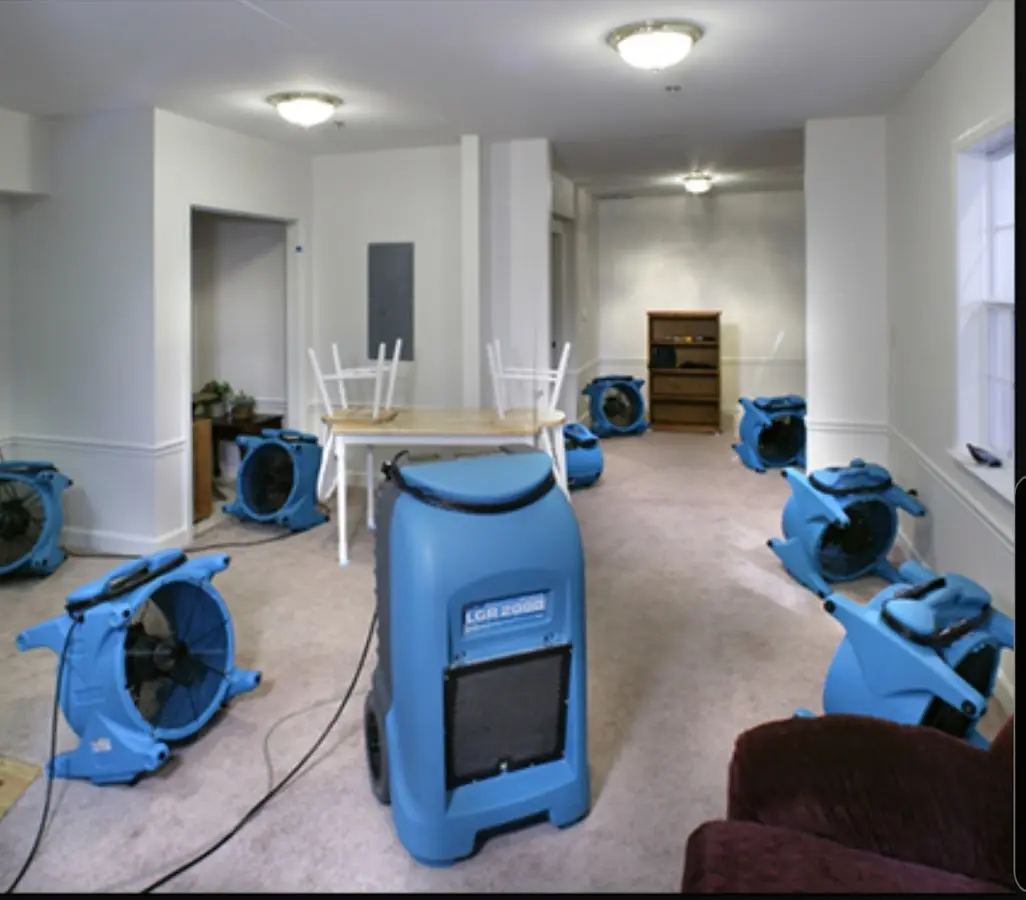 Air movers and dehumidifier setup for Water Extraction & Removal in Cairo