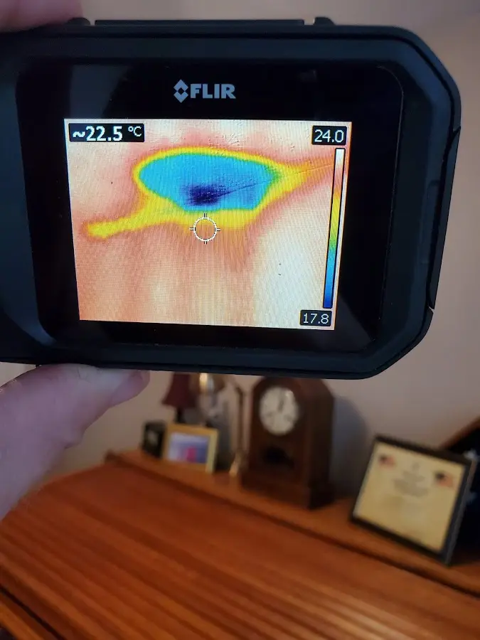 Thermal imaging inspection for water damage in Cairo